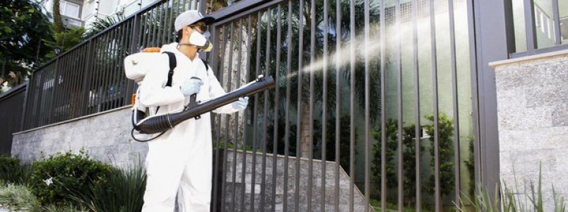 Ministério da Saúde repassa verba para combate ao Aedes aegypti