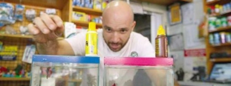 Uso de cloro no tratamento da água causa temor em Valadares