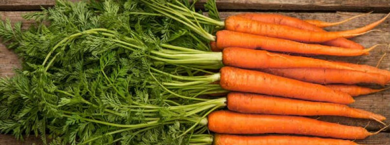 6 Receitas com folha de cenoura para emagrecer