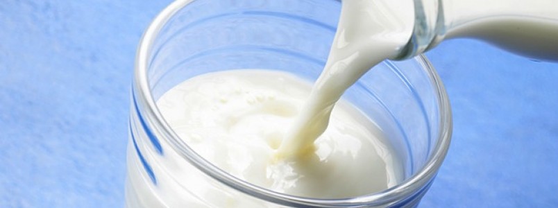 Governo inclui leite no Programa de Aquisio de Alimentos
