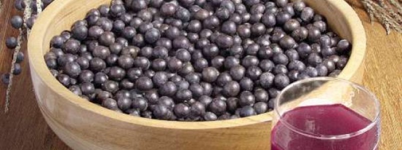 Pesquisa da UFU mostra que açaí combate hipertensão; veja como consumir