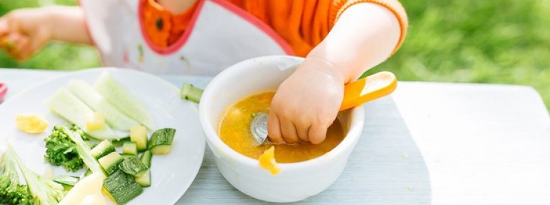 Aprenda a introduzir alimentos slidos na dieta do beb