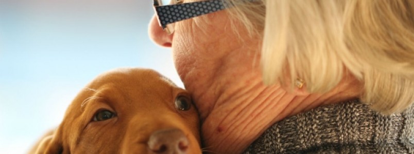 Pet ajuda no envelhecimento saudável, diz pesquisa