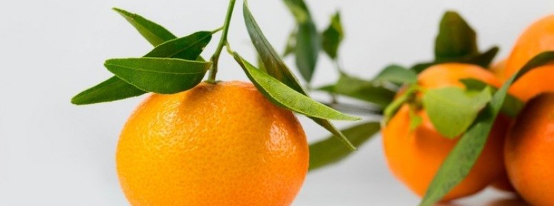 Rica em vitamina C, tangerina combate o envelhecimento e faz bem para o crebro