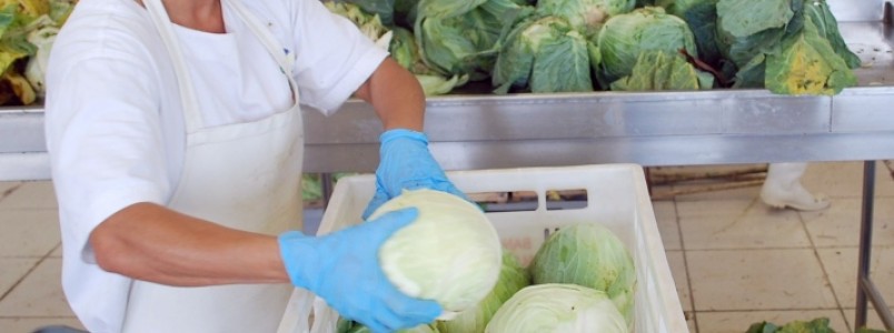 Segurança alimentar terá mais apoio com o VitaVida na CeasaMinas
