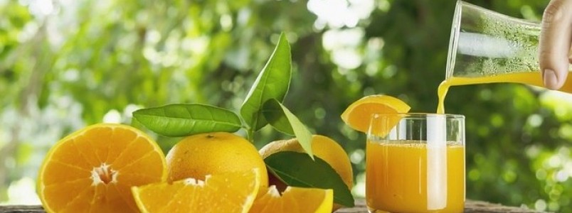 Suco de laranja ajuda a equilibrar a microbiota de pacientes obesos, aponta estudo