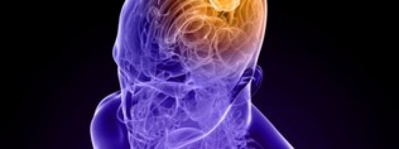 Planta mediterrânea mata células cancerígenas de tumor cerebral