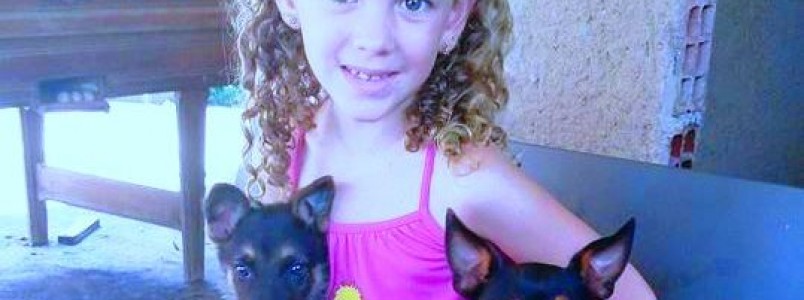 Camilinha e seus três amiguinhos