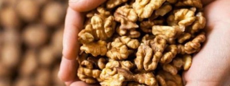 Saiba por que um punhado de nozes pode ajudar a controlar apetite