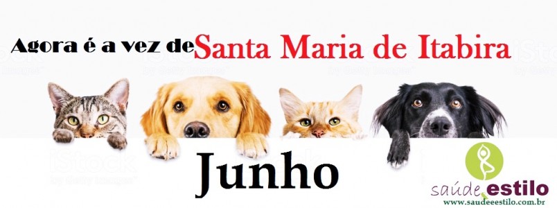 Agora é a vez de Santa Maria de Itabira ter o maior evento  dos Apaixonados por Cães