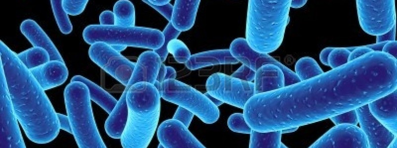Sexo oral ajuda a espalhar superbactéria da gonorreia, alerta OMS