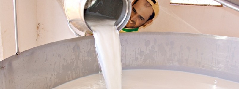 Em Minas Gerais 13 mil produtores serão beneficiados pelo Programa Leite Saudável