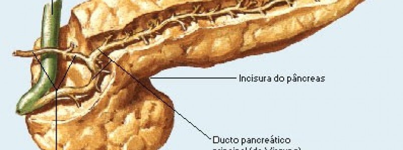 Cncer de pncreas - Tudo sobre esse cncer agressivo