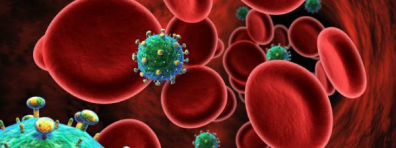 Micróbio encontrado na vagina pode levar ao bloqueio do vírus da Aids