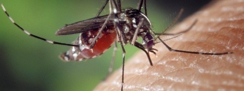 Teste de vacina contra zika atinge 87% dos voluntrios necessrios