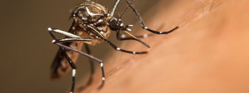 Governo vai repassar R$ 152 milhes aos municpios para combate ao Aedes aegypti 