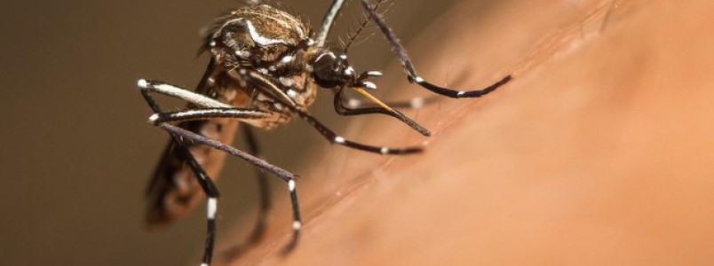 Governo vai repassar R$ 152 milhões aos municípios para combate ao Aedes aegypti 