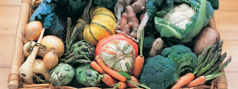 Como conservar melhor frutas, legumes e verduras no verão? 