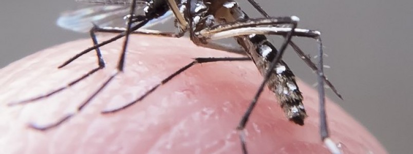 México registra primeira vacina contra dengue no mundo