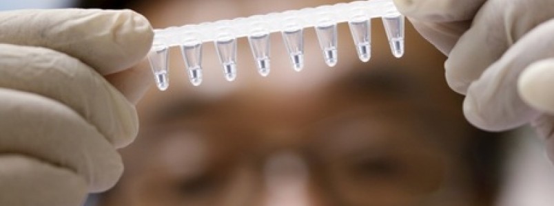 Teste rápido da Unicamp detecta zika em 5 horas