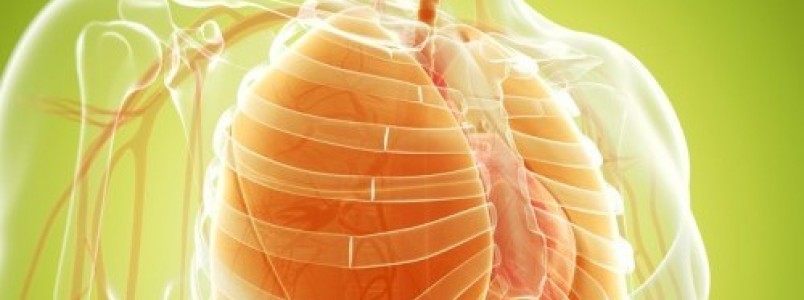 Remédios naturais para limpar e fortalecer os pulmões