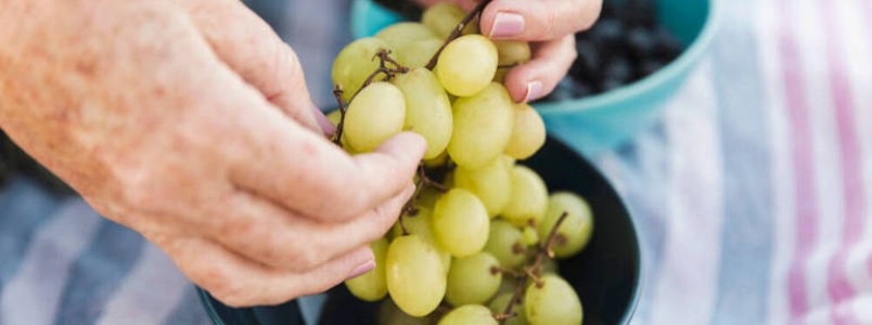 Consumo dirio de uvas melhora a sade ocular de idosos, sugere estudo