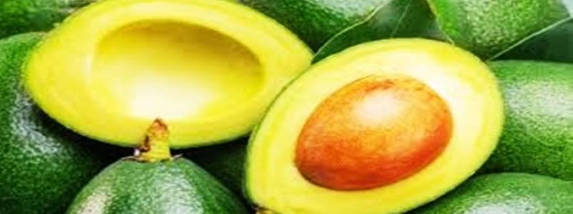 Consumo frequente de abacate oferece múltiplos benefícios à saúde diária