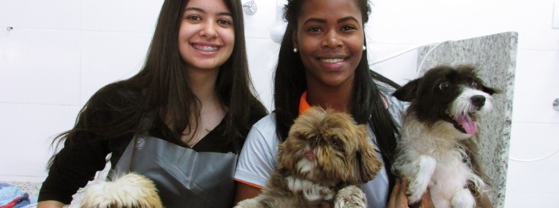 Terra Animal entra pela primeira vez no Encontro dos Apaixonados por Cães de Monlevade (MG)