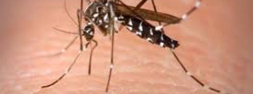 Ofensiva em Minas quer vistoriar 8 milhões de imóveis para exterminar o mosquito da dengue