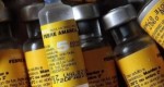 Minas não registra casos de febre amarela há quase um mês