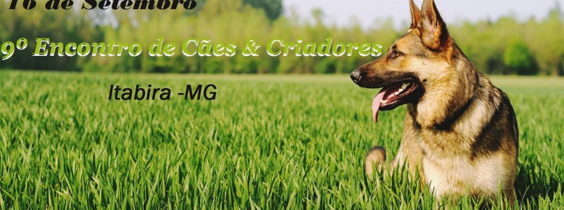9º Encontro de Cães e Criadores de Itabira, MG, já tem data confirmada