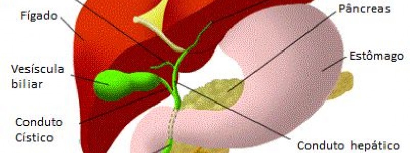 Como revitalizar seu fígado e pâncreas?