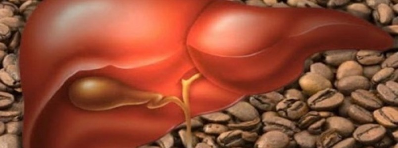 O que três xícaras de café por dia podem fazer pelo seu fígado