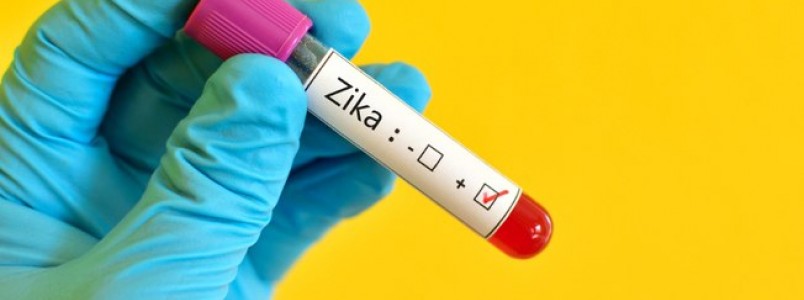 O que é falso e o que é verdadeiro nos boatos sobre zika vírus
