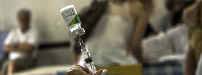 Butantã usa 54 milhões de ovos para produzir vacina contra gripe