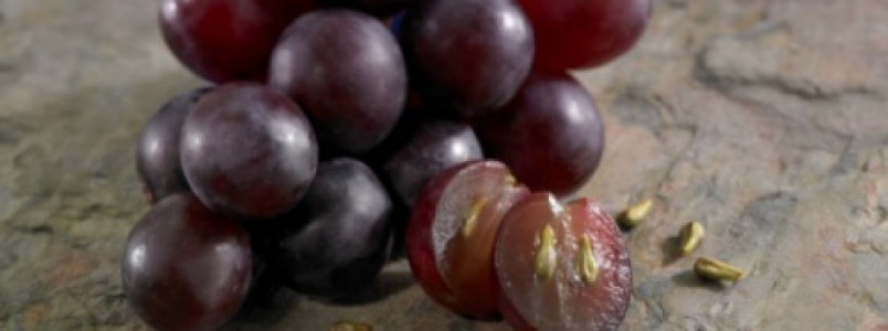Você sabia? Sementes de uva possuem benefícios tanto quanto a fruta