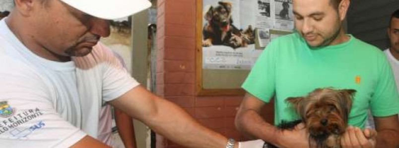 BH recebe campanha de vacinação Antirrábica Animal