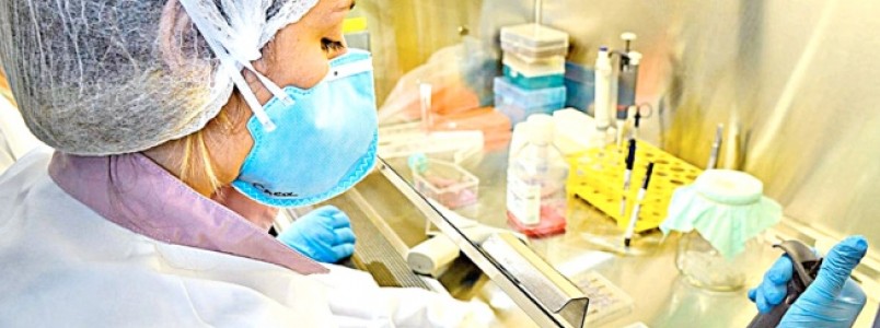 Produção de vacina contra a dengue pode começar em dezembro de 2019