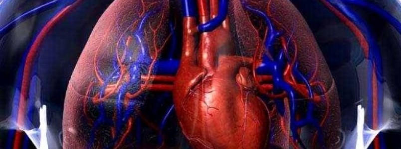 18,4 milhões têm problema de colesterol alto no Brasil