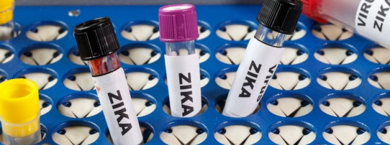 Proteste pede que ANS obrigue planos de saúde a pagarem exame para detectar zika