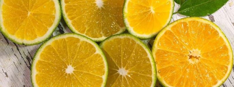Confira os benefcios da laranja-lima para o estmago