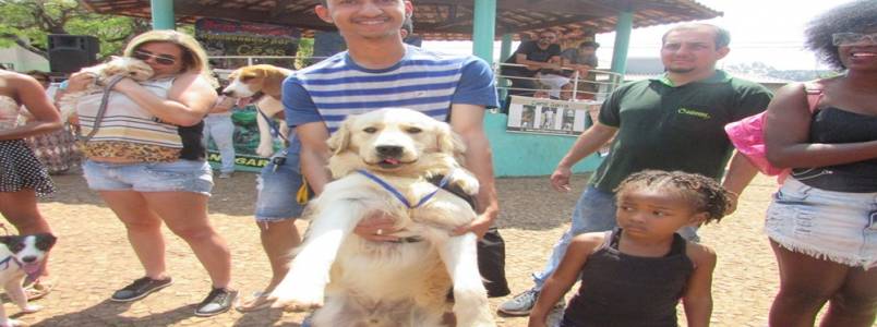 10 Encontro de Ces e Criadores de Itabira, MG, levam apaixonados por animais  praa