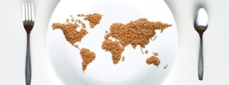 16 de outubro – Dia Mundial da Alimentação