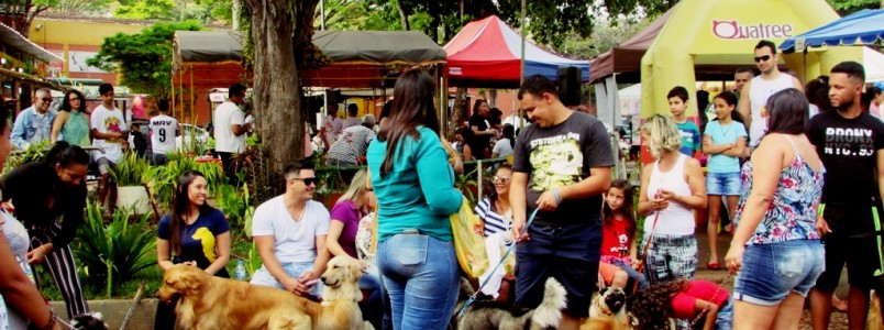 9º Encontro de Cães e Criadores acontece em Itabira, MG
