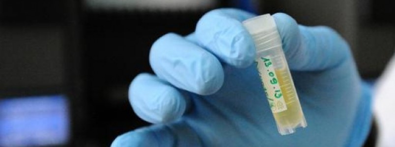 Cientistas encontram possível causa da dislexia