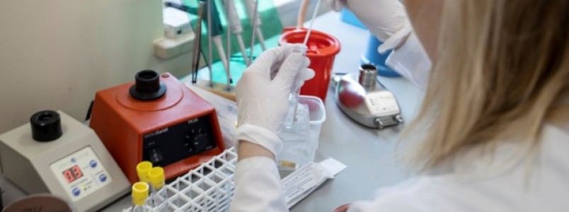 Testes verificam se cloroquina, usada no tratamento da malária, pode ajudar na luta contra Covid-19