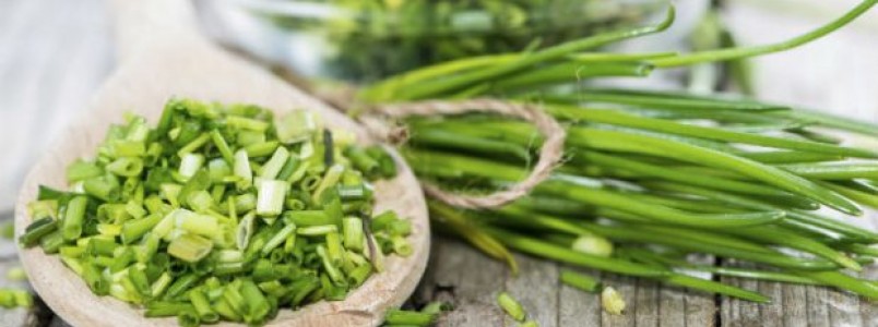 13 benefícios da cebolinha – Para que serve e propriedades