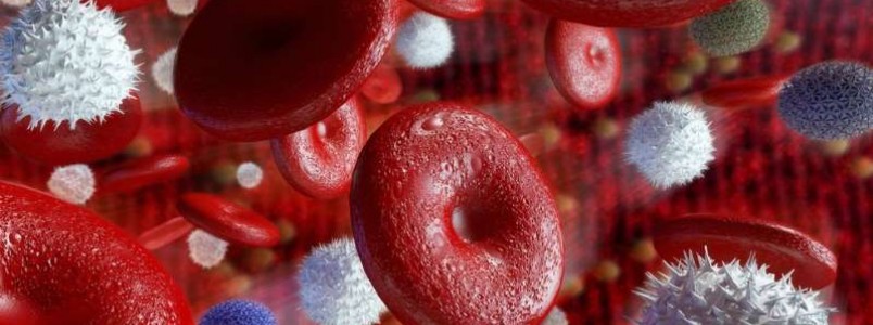 O médico brasileiro que busca a cura definitiva do HIV combinando tratamentos e vacina personalizada