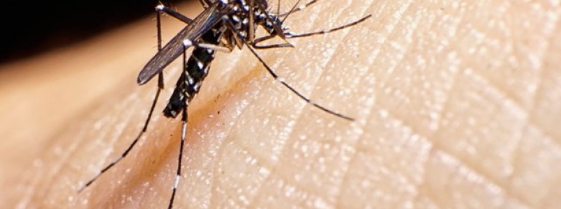 Organizao emite alerta para aumento de sndromes em pases com zika vrus