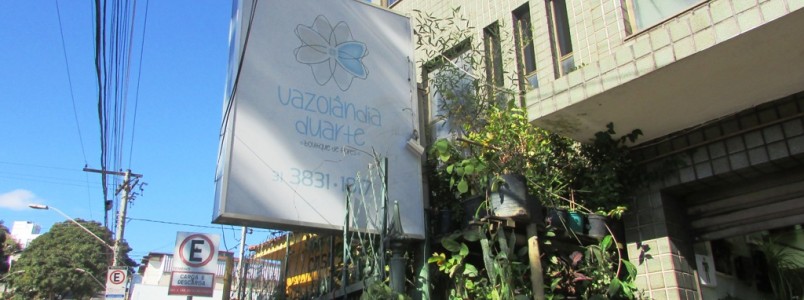 Vazolândia Duarte: Lindas flores e belíssimas decorações 